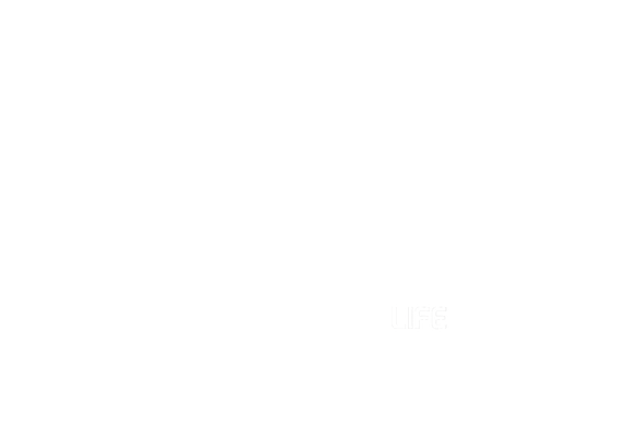 Brazyn Life - Gear for the Modern Dream Chaser